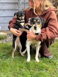 Tammy & Luna, zwei Seelen suchen ein gemeinsames Zuhause